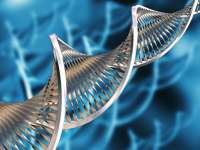 Заболевания, каталог болезней